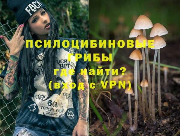 мет Белокуриха