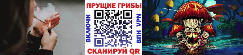 Галлюциногенные грибы Cubensis  Козьмодемьянск 