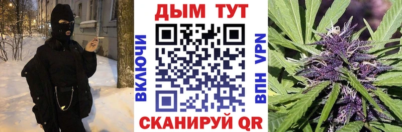 МАРИХУАНА сатива  Козьмодемьянск 